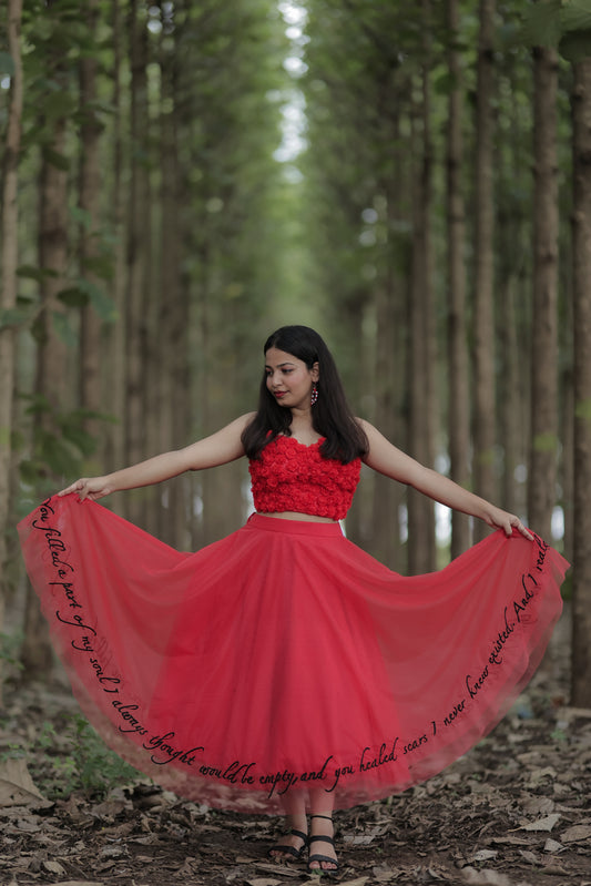 Bridget corset top and skirt